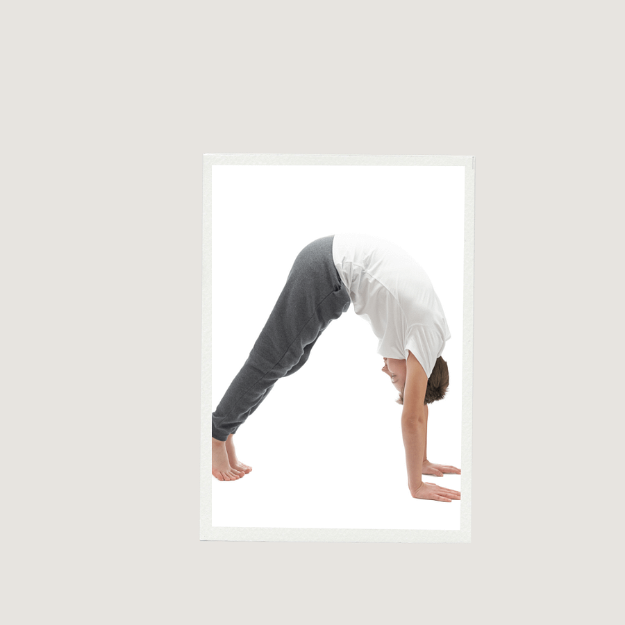 Workout Plan product image (7)