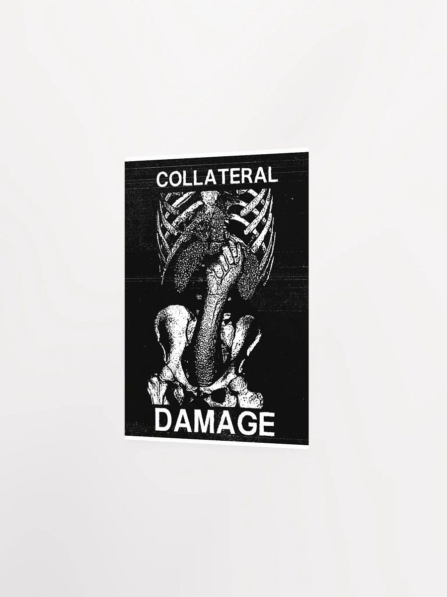 COLLATERAL DAMAGE product image (17)