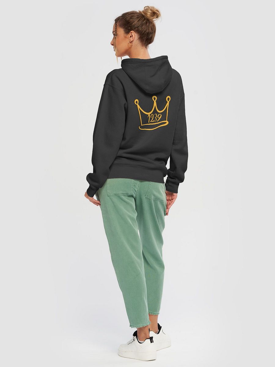 TSK1239 Unisex Premium Hoodie product image (26)