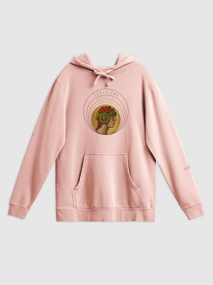 KASSANDRA FORESIGHT pigment dyed hoodie product image (1)
