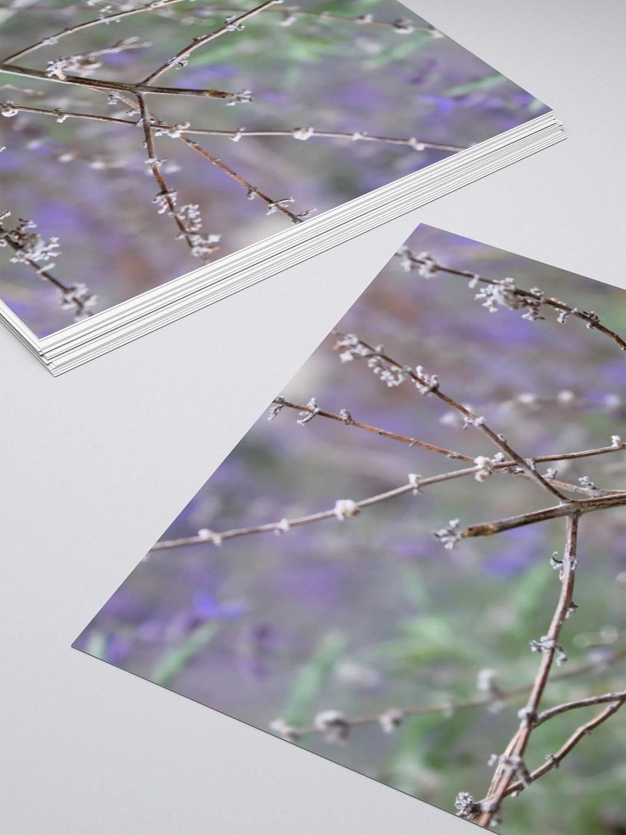 A Study in Flowers 15 - sticker version product image (10)