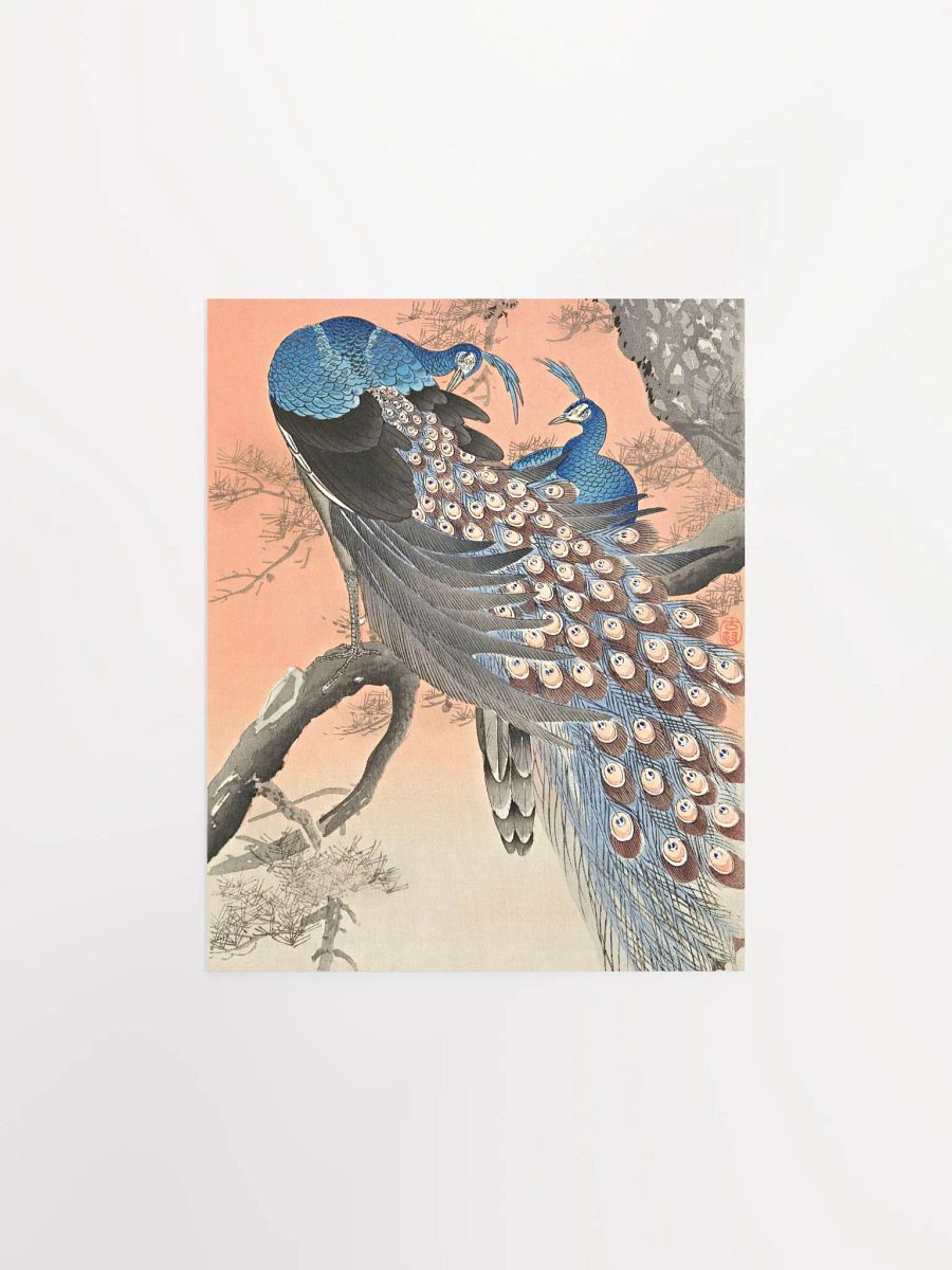 Two Peacocks on Tree Branch (1900 - 1930) by Ohara Koson product image (10)