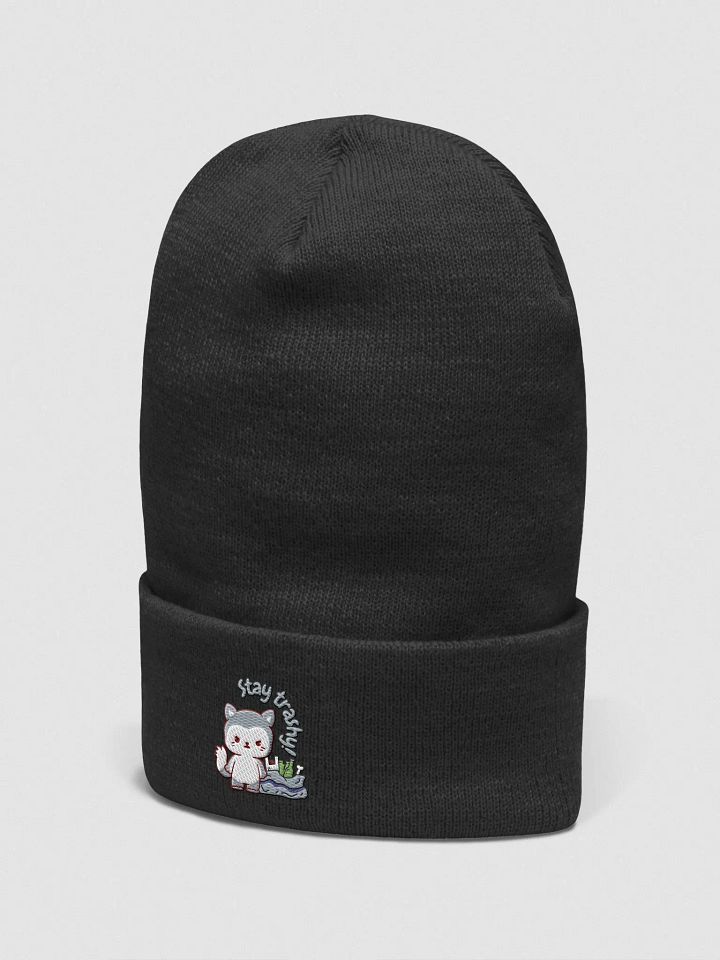 Stay Trashy Beanie product image (11)