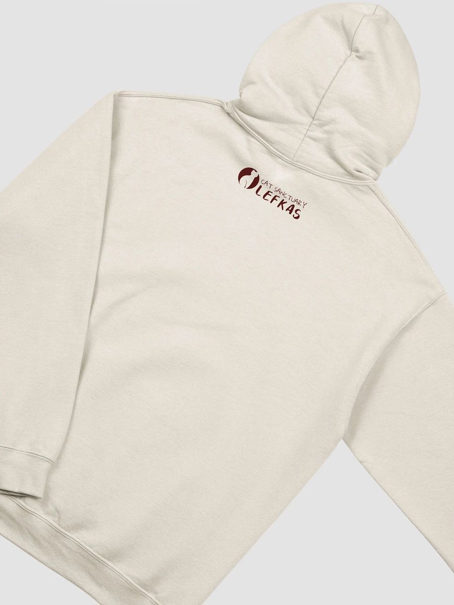 you cant buy love but you can adopt it hoodie product image (4)