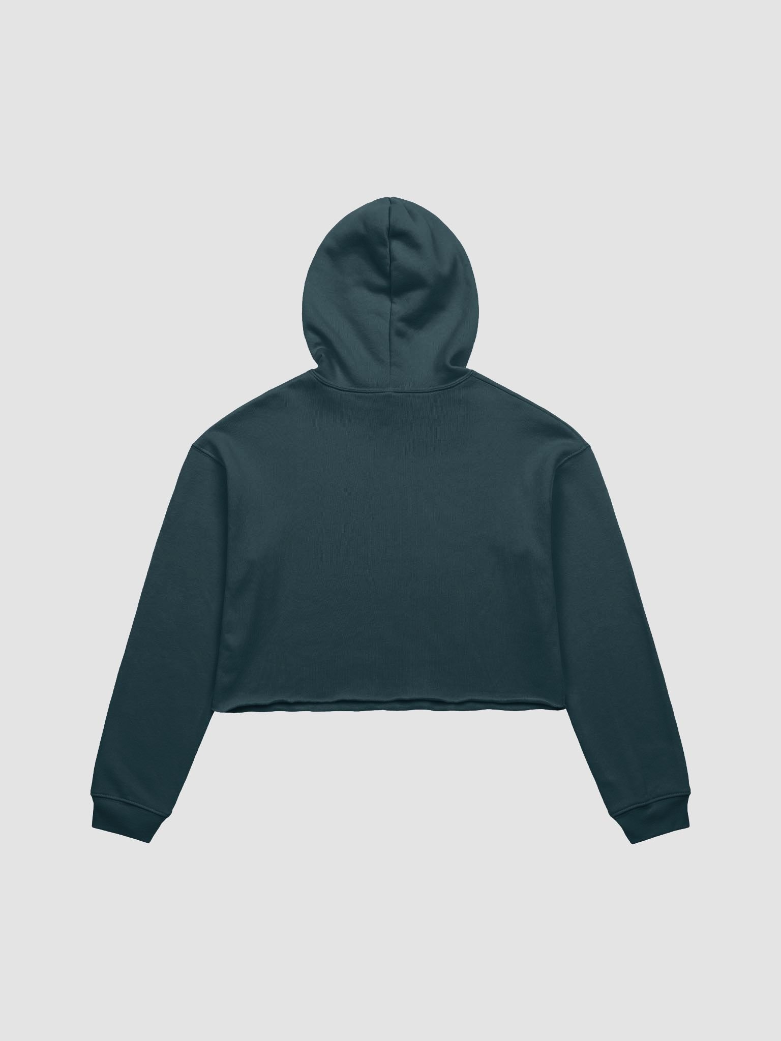 WillowBrook Academy Crop Hoodie product image (4)