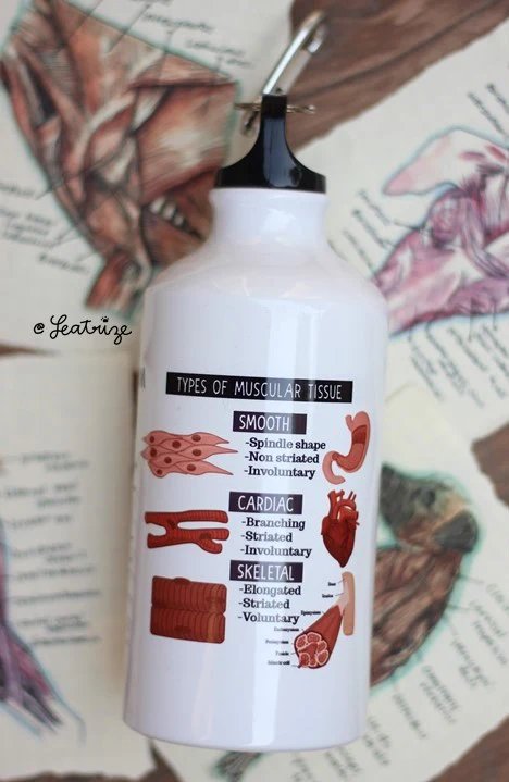 Canine Body System Sports Jug Set product image (6)