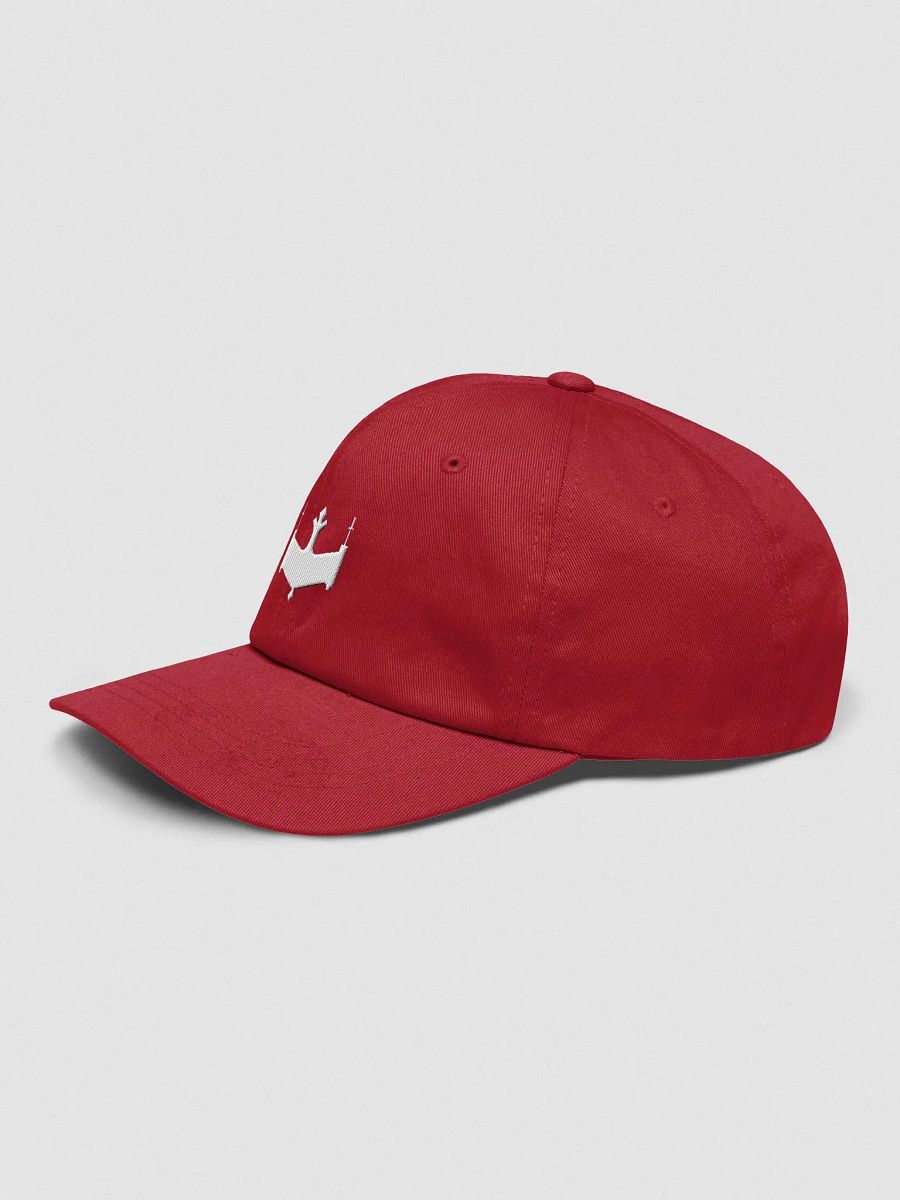 Logo Hat product image (11)