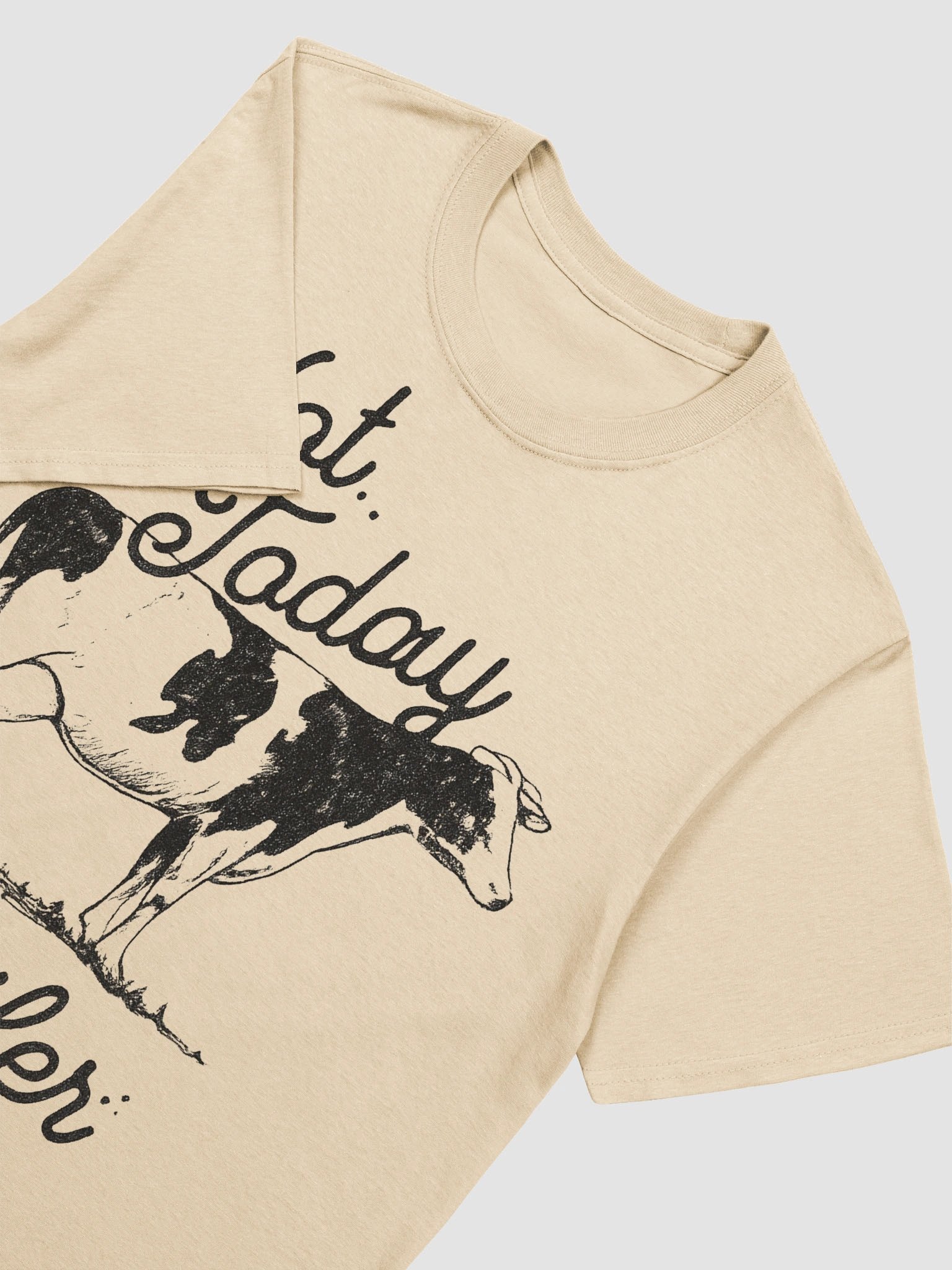 Not Today, Heifer product image (7)