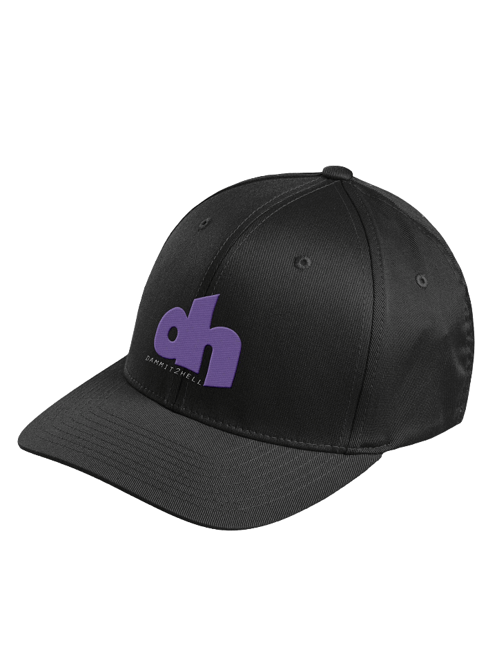d2h Logo Flexfit Structured Fitted Cap product image (5)