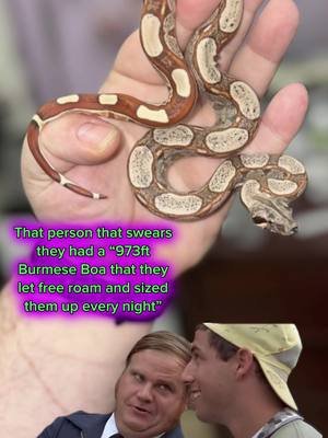 No no no ya didn’t. Because nobody did. Because that never happened. #animals #pets #fyp #snake #reptile 