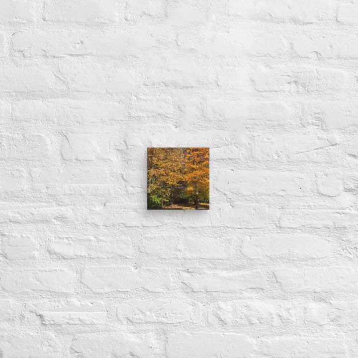 Fall Leaves Canvas product image (2)