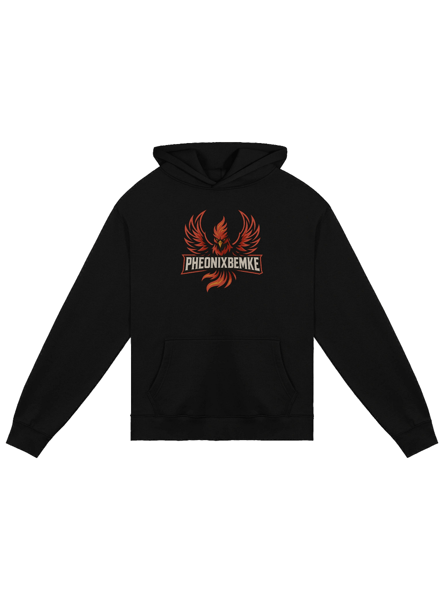 Pheonix Oversized Hoodie product image (1)