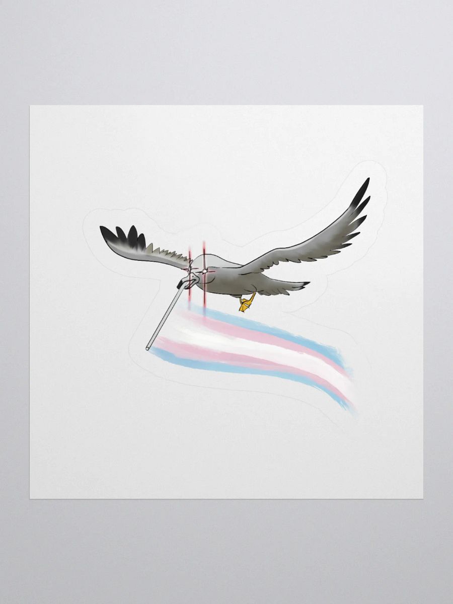 Valentina says trans rights product image (2)