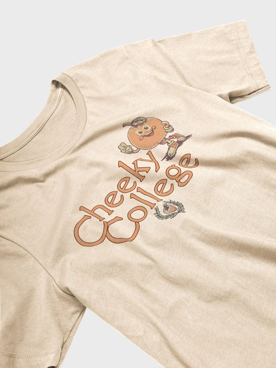 Cheeky College T-Shirt product image (3)