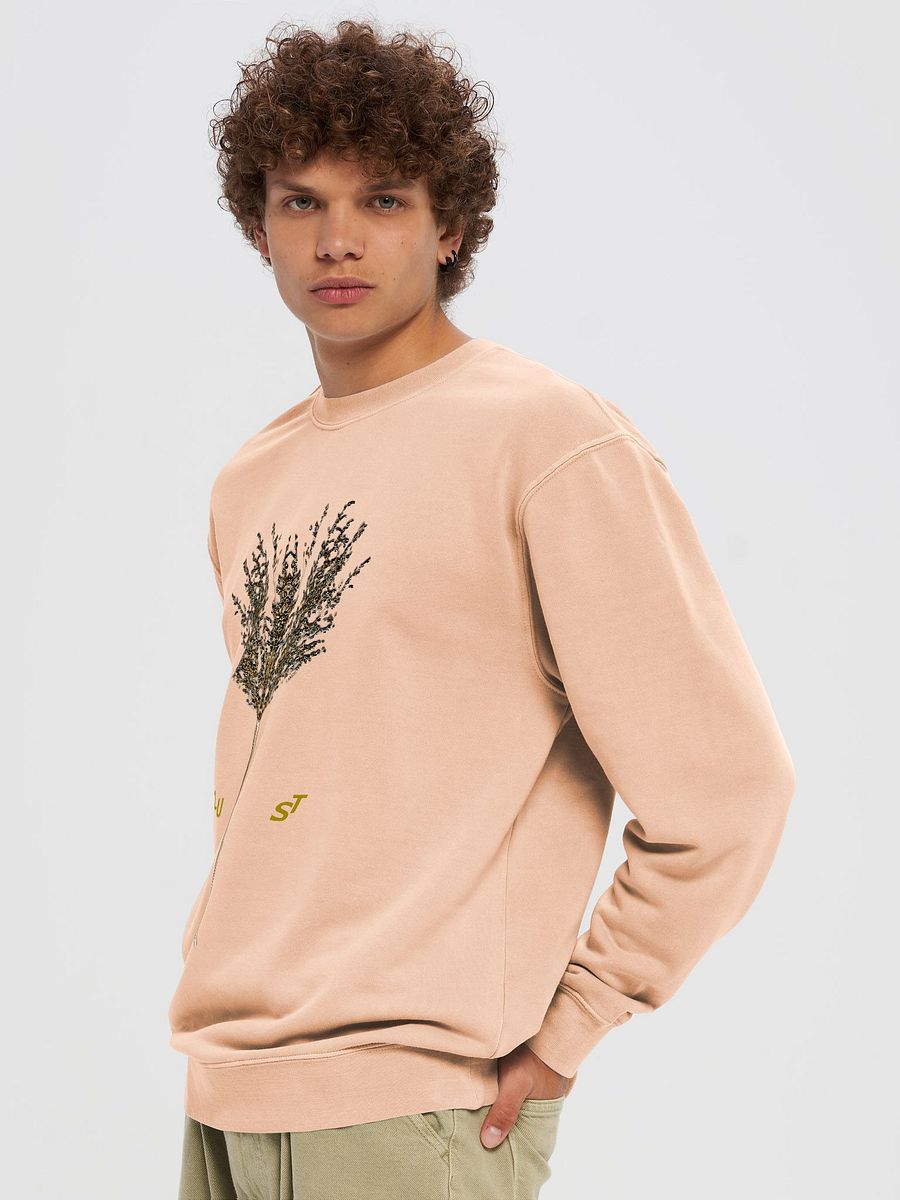 LU ST product image (14)
