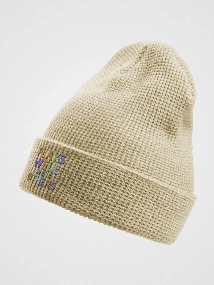 Plays Well With Others embroidered waffle beanie product image (5)