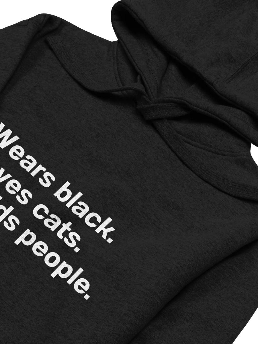 Wears black. Loves cats. Avoids people. Hoodie product image (3)