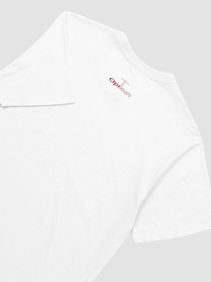 Aaron Bushnell - Palestine - Gildan Unisex Softstyle T-Shirt product image (16)