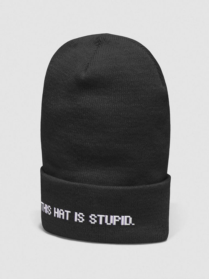 This Hat Is Stupid! product image (11)