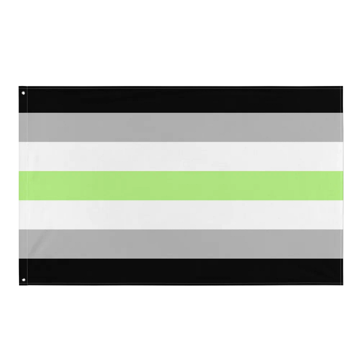 Agender Pride Flag product image (1)