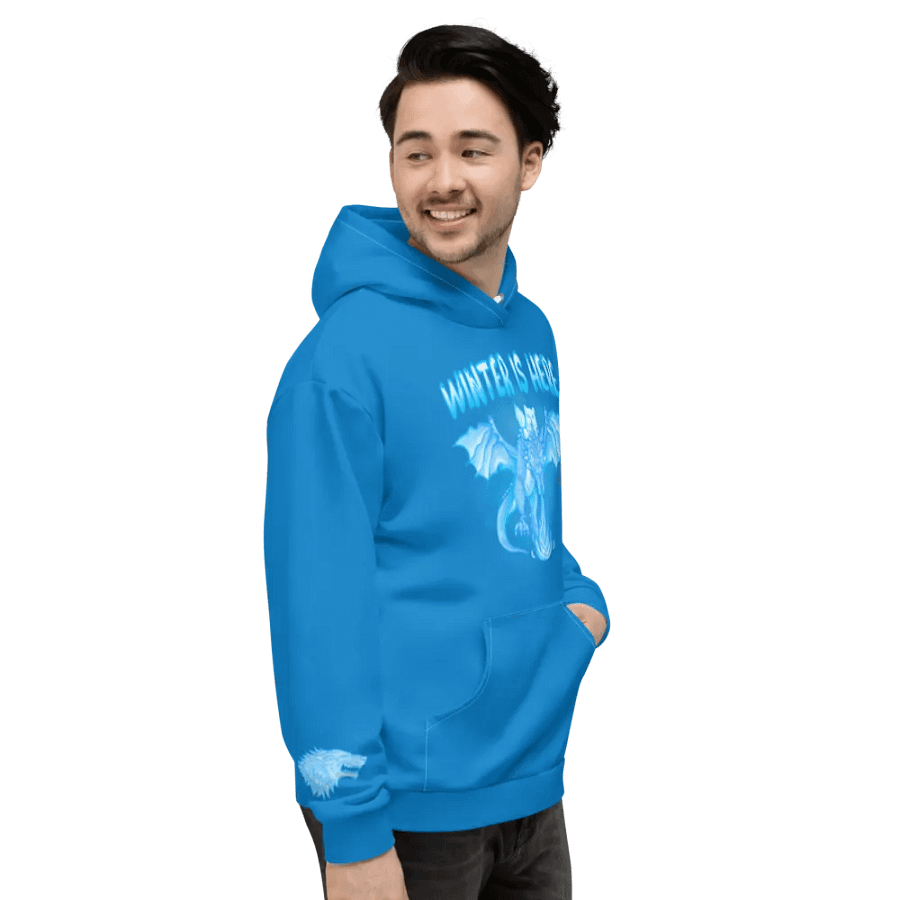 Blue Winter is Here Hoodie - Front product image (5)