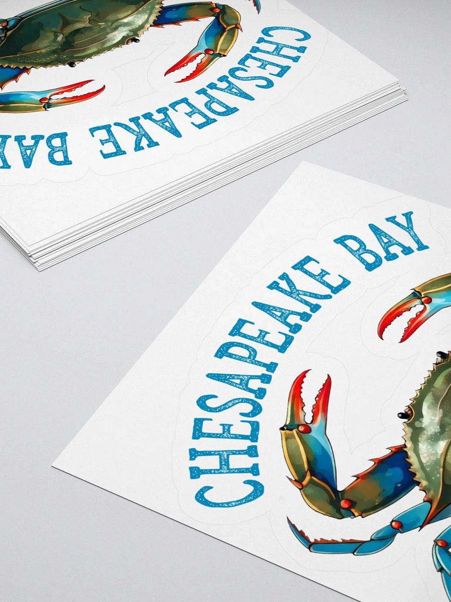 Chesapeake Bay Vintage Sticker product image (10)