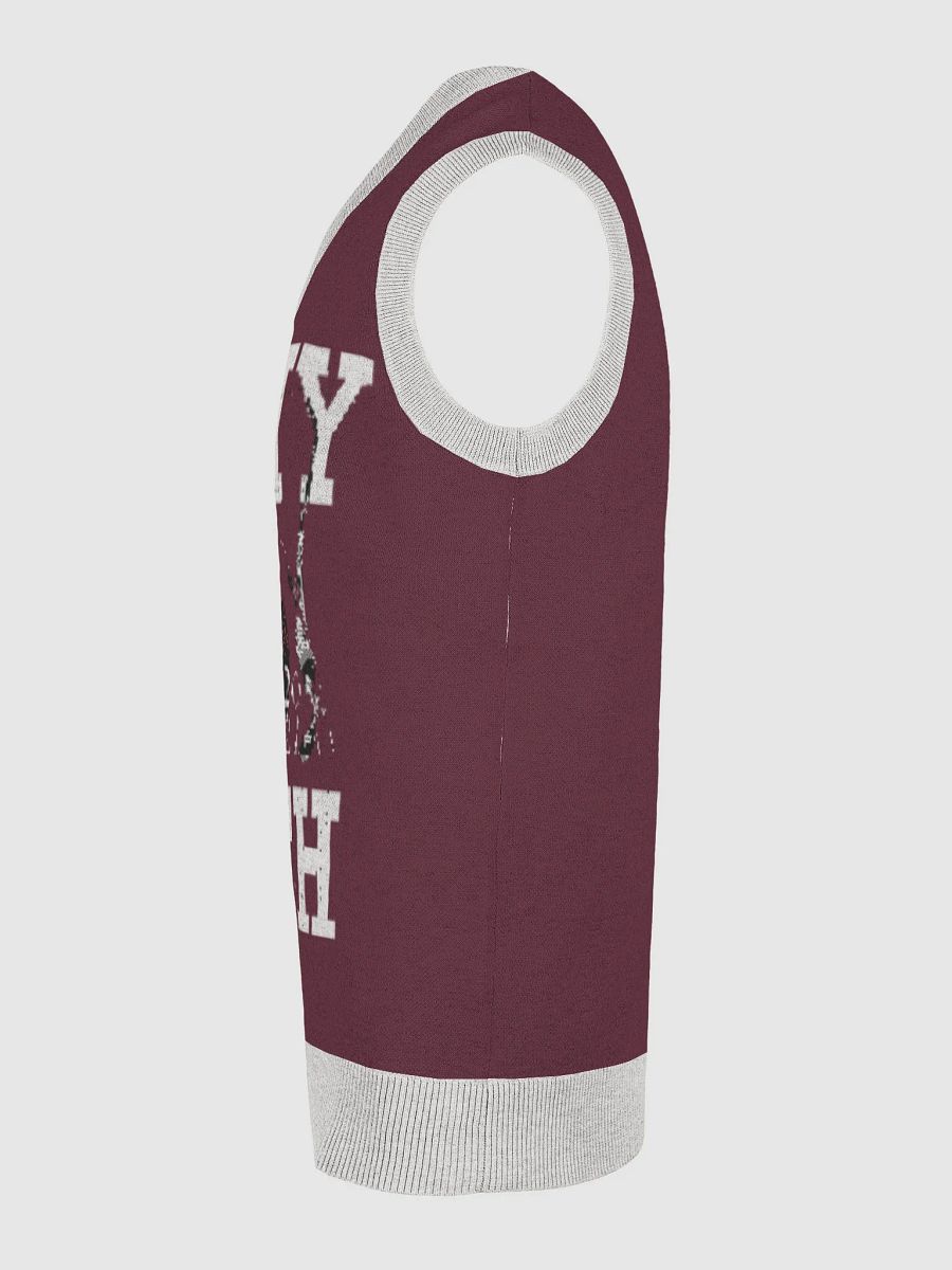 Mouthful of Style Knitted V-Neck Vest product image (30)