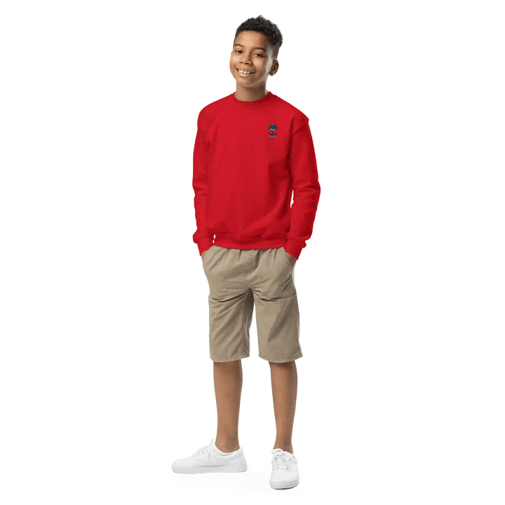 GUILLOVELO D' KID EMBROIDERED SWEATSHIRT product image (2)