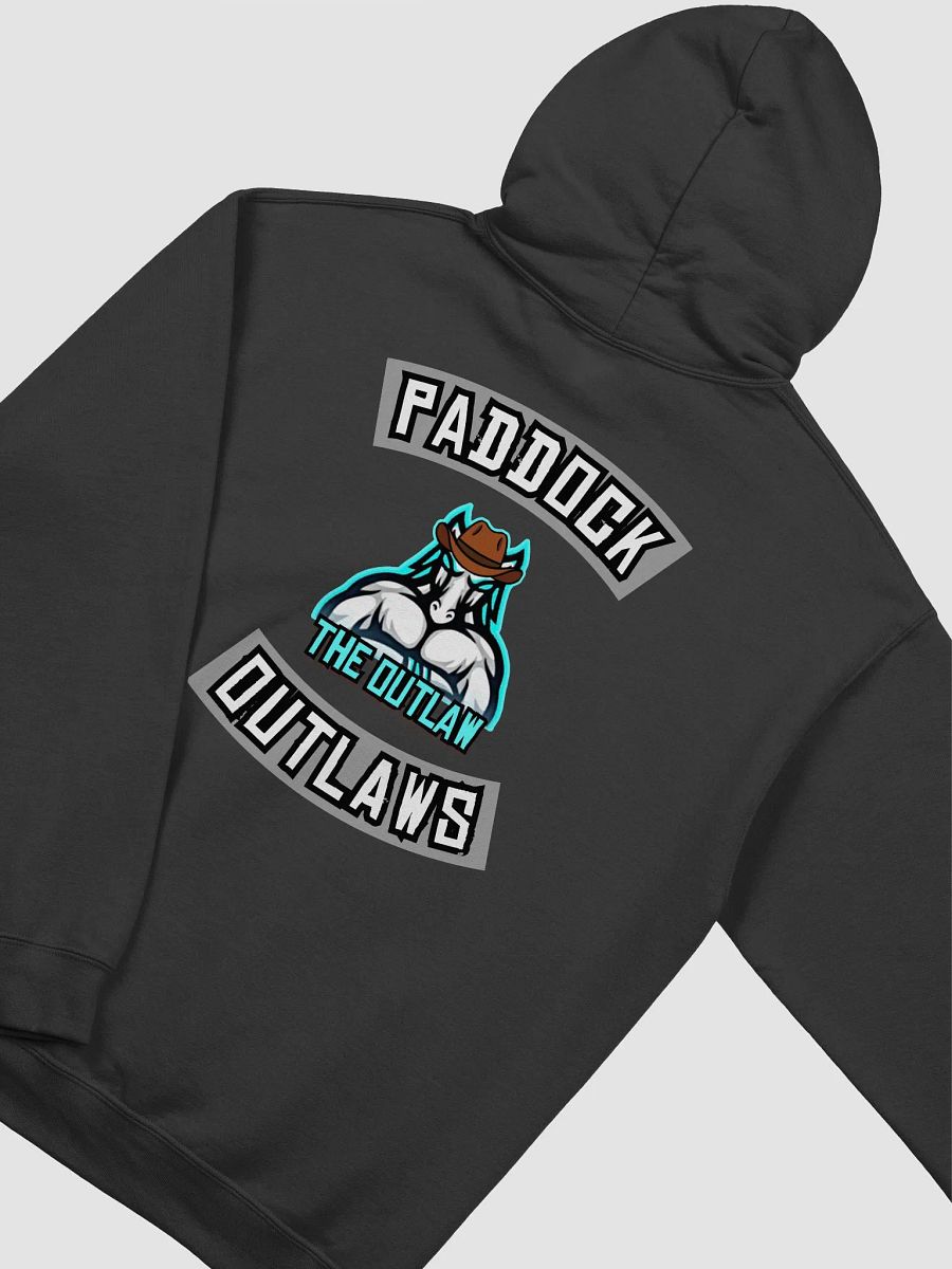 Outlaw Hoody product image (4)