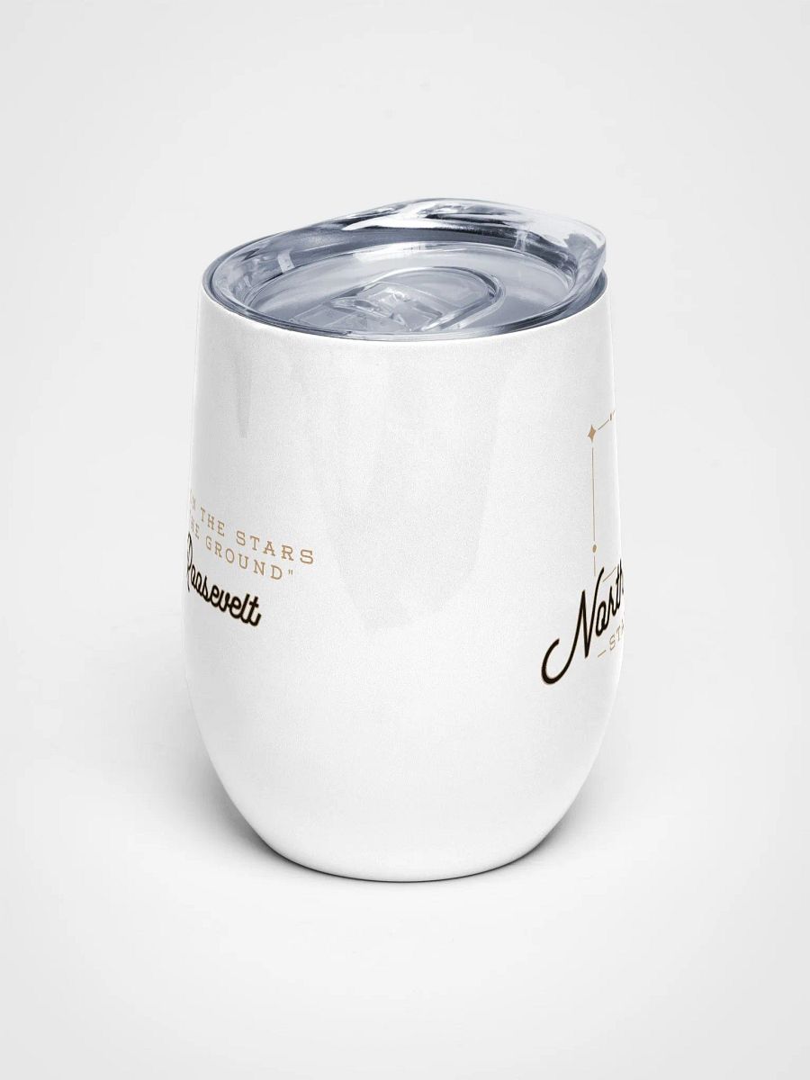Stargazer ✧ North Dakota Wine Tumbler product image (4)