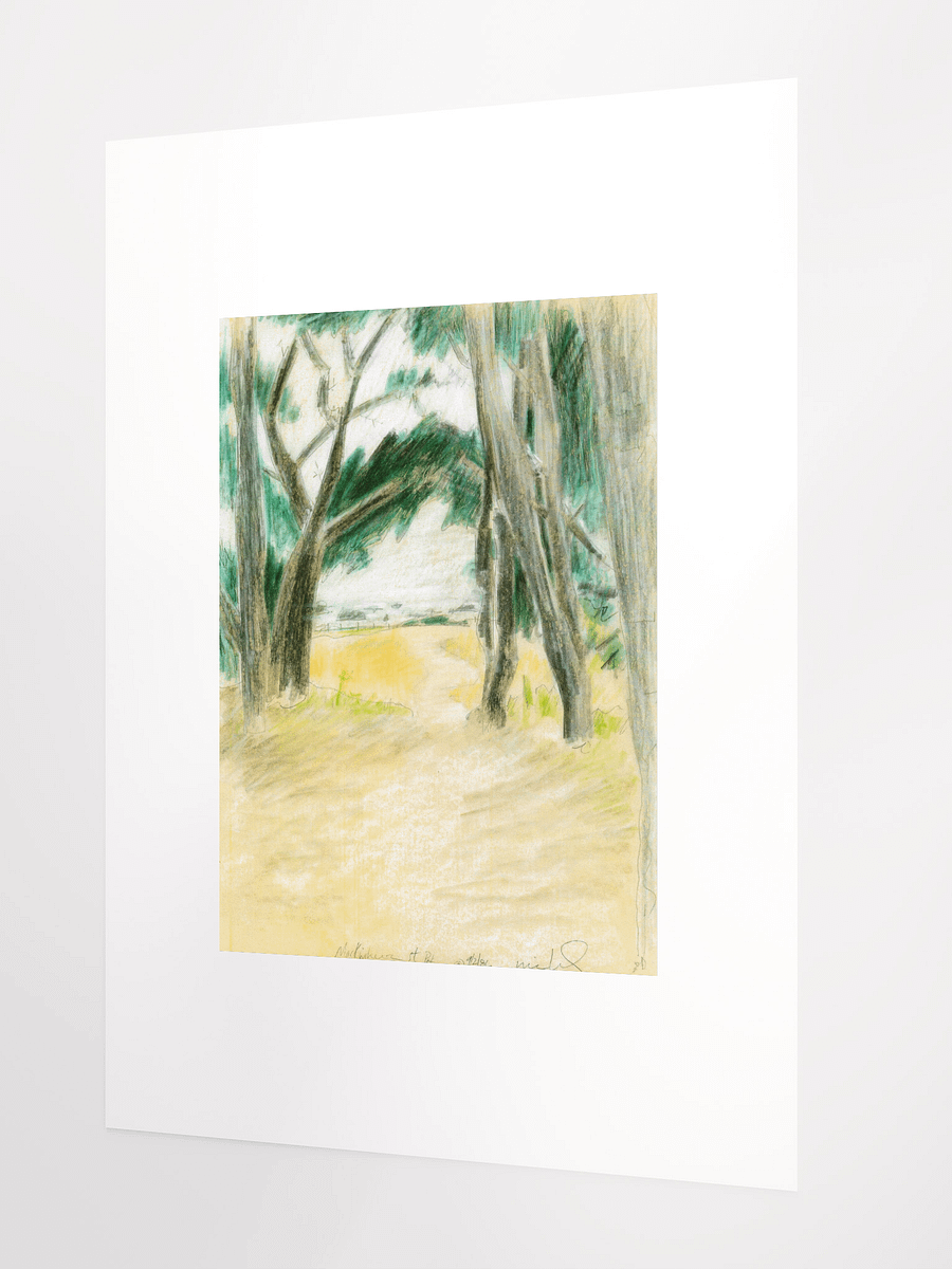 Mackerricher State Park, CA 09.02.86 print product image (3)