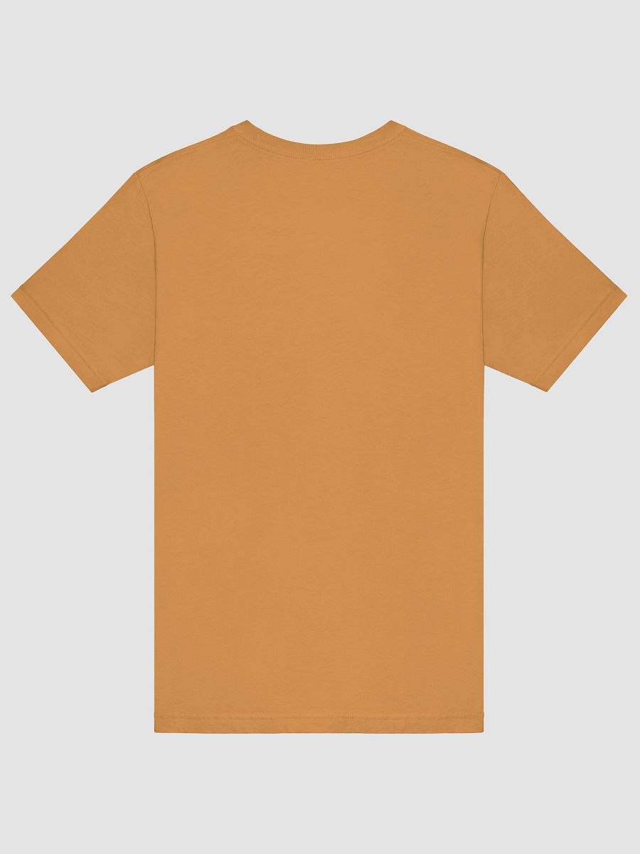 Pickleball Don't Get Jarred Just Play Supersoft T-Shirt product image (62)