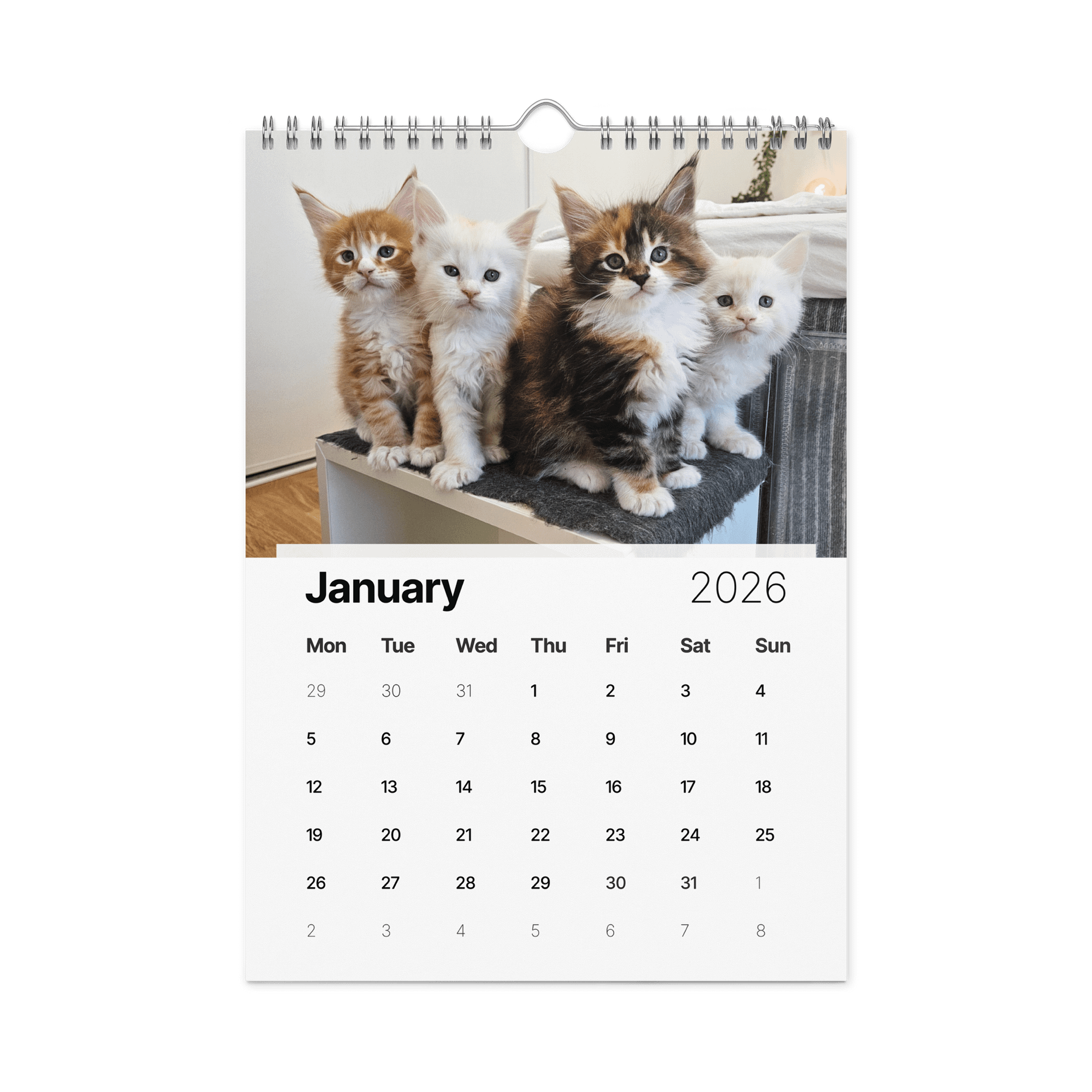 2026 Calendar - Maine Coon Adventures + Kittens product image (11)