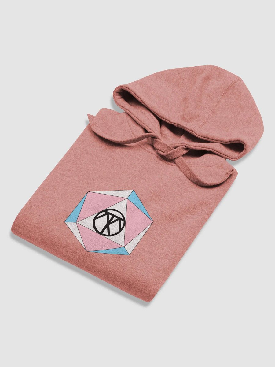 ThatoneTransD20 Hoodie product image (57)