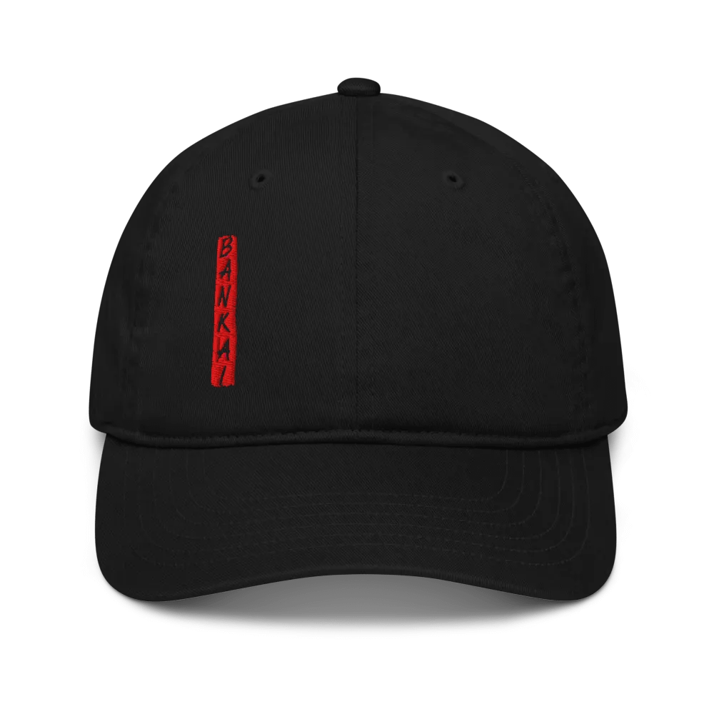 Shobek Dad Hat product image (1)
