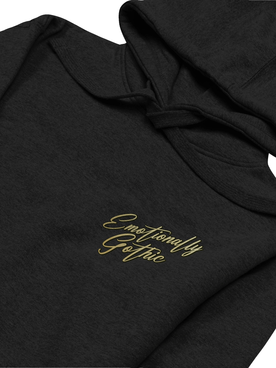 Emotionally Gothic - BB28 Hoodie product image (3)