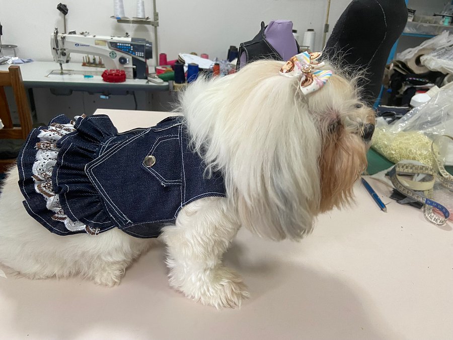 Vestido Pet Charminho Casual - Modelagem Pet PDF product image (3)