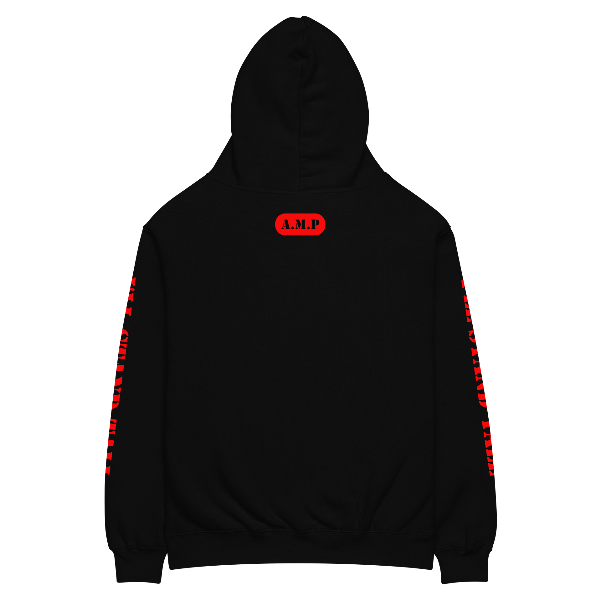 AgentMashPlays Emblem Hoodie product image (12)
