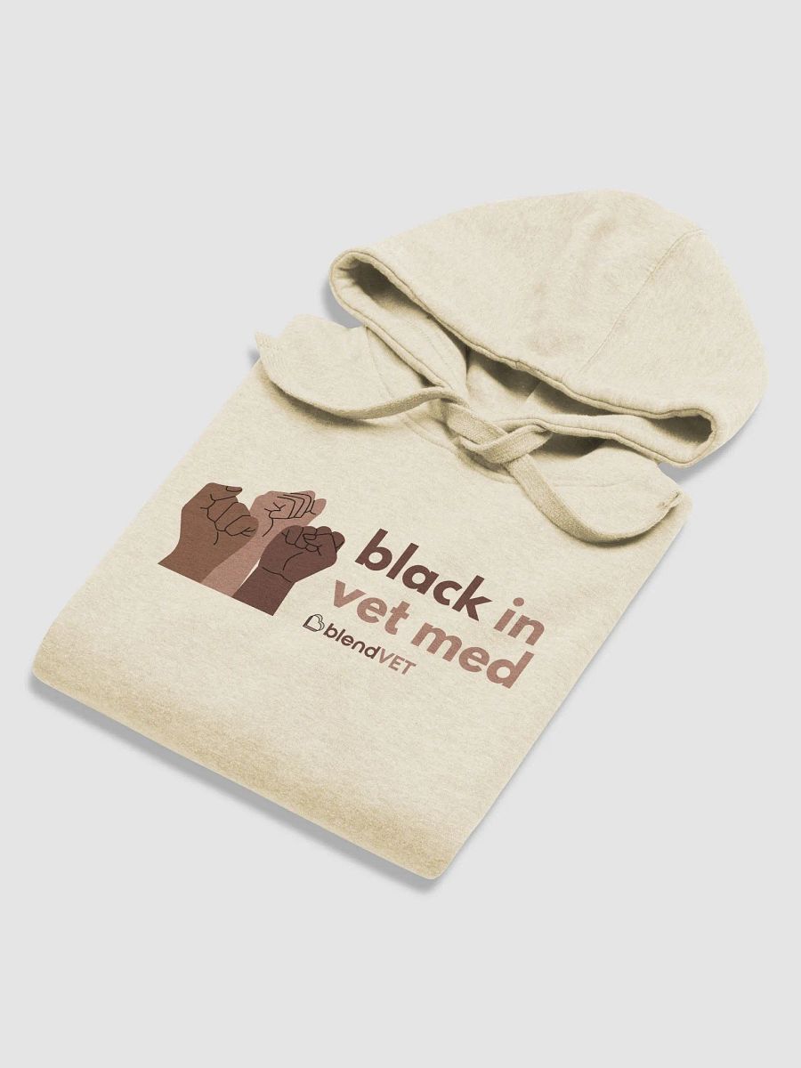 Black in Vet Med Hoodie product image (8)