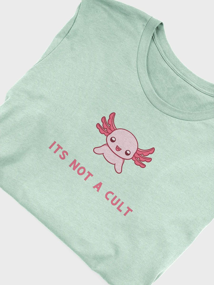 NOT A CULT Soft Tshirt product image (16)