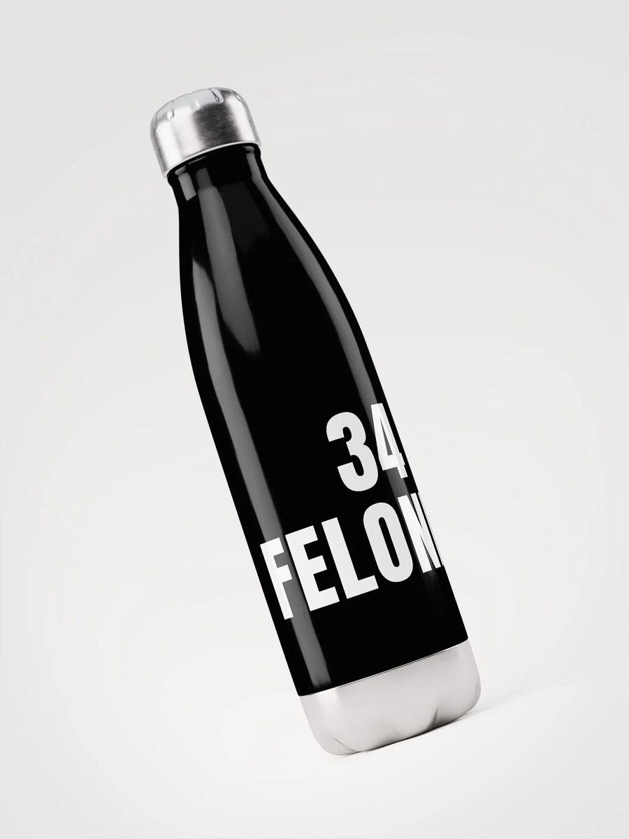 Pris-34 FELONIES -Stainless Steel Water Bottle product image (3)