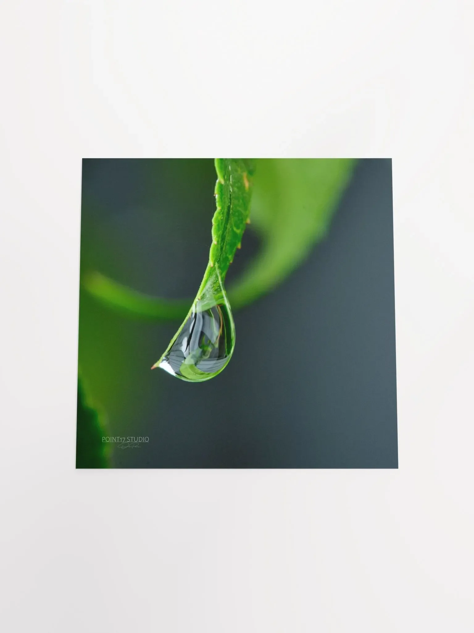 Dew Gems #4 - Print product image (12)