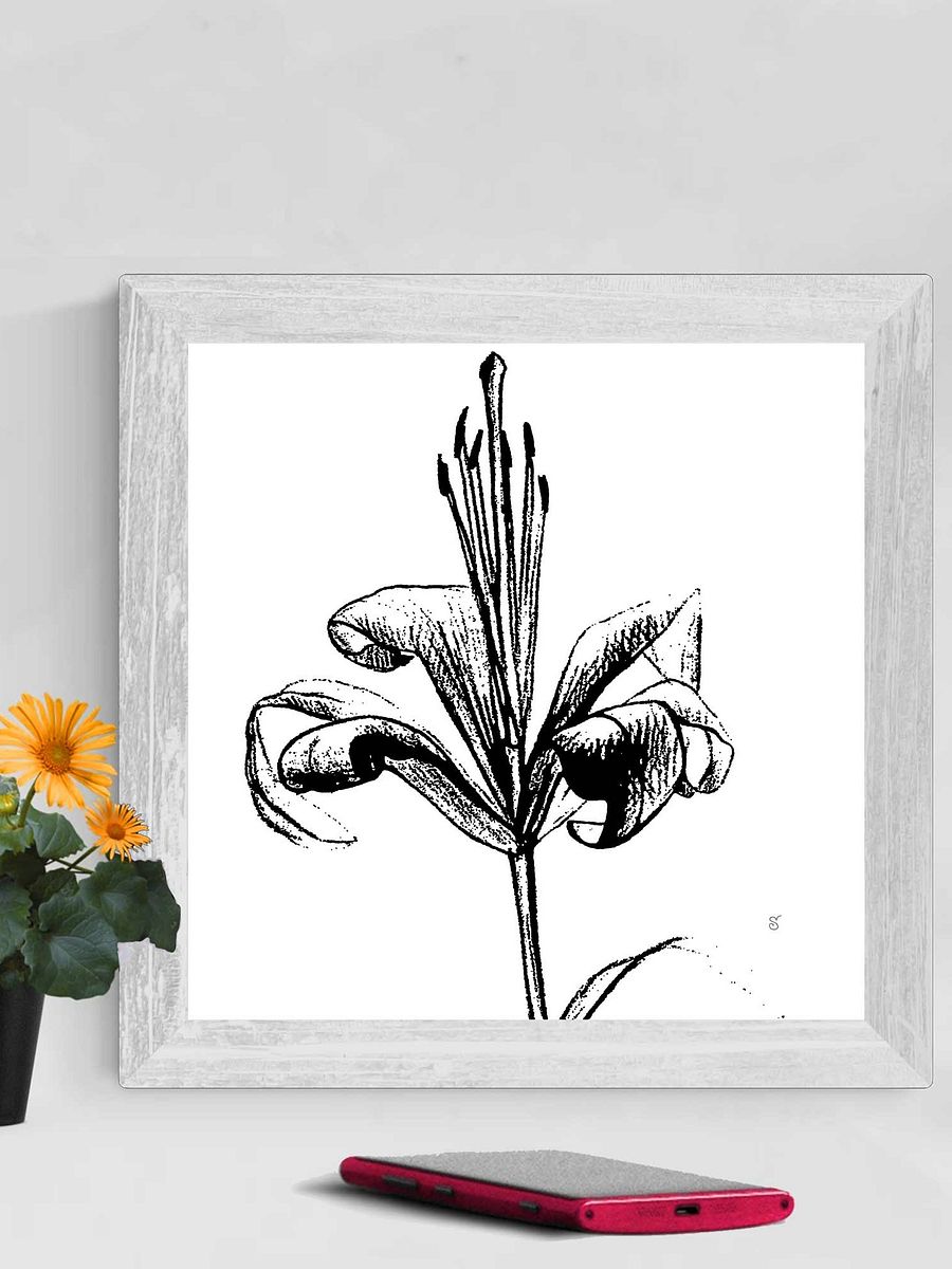 Lily Line Art Canvas Print - Fine Flower Light product image (40)