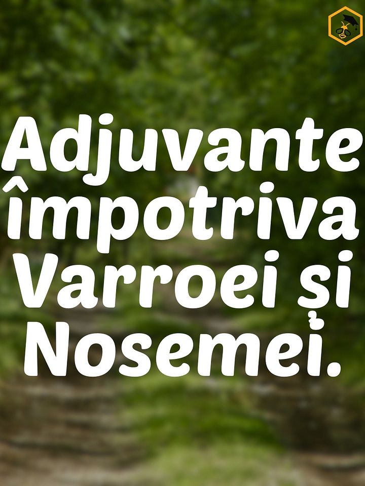 Adjuvante împotriva Varroei și Nosemei. product image (1)