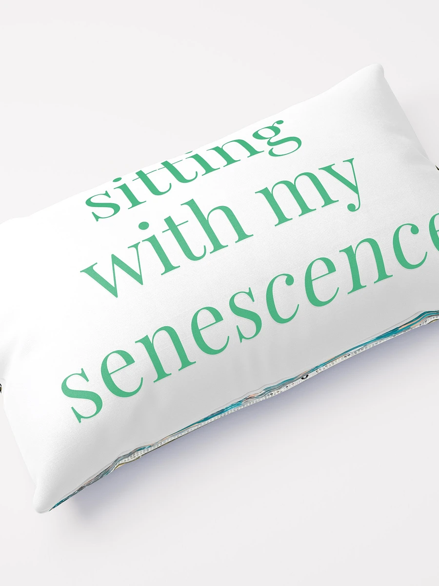 Sitting with my Senescence Pillow product image (4)