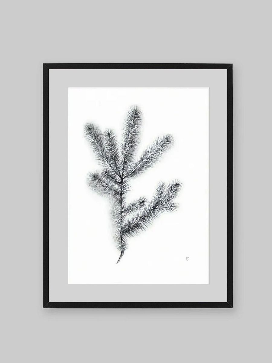 Whimsical Coniferous Branch Poster - Spruce Branch product image (7)