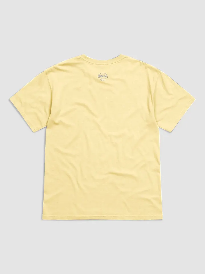 Charleston Pirates T-Shirt by Comfort Colors product image (2)