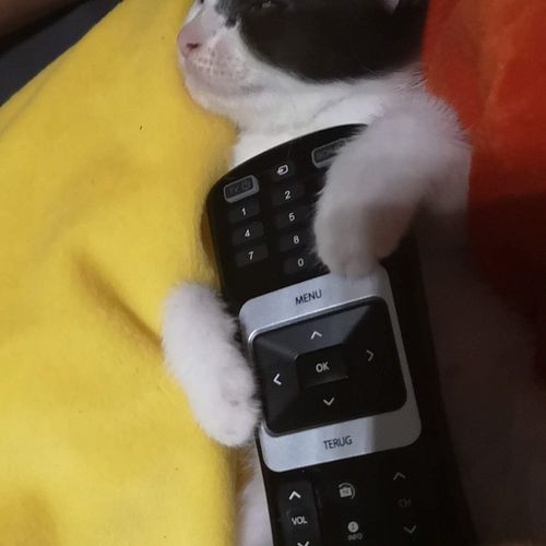 Me after a long day
