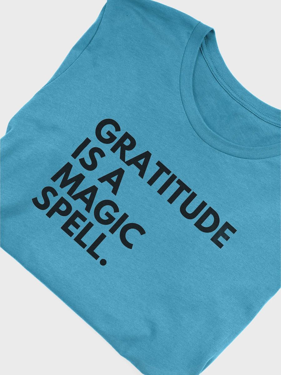 Gratitude Spell Tee product image (33)