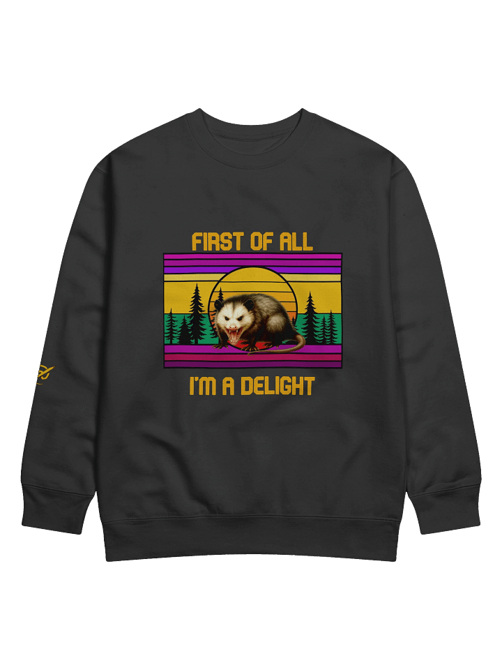 PASP Possum “I’m A Delight” Sweatshirt – Fall Edition product image (1)